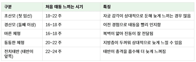 태동 느끼는 시기