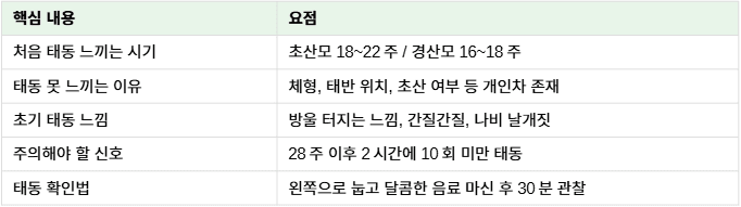 태동 느끼는 시기 정리