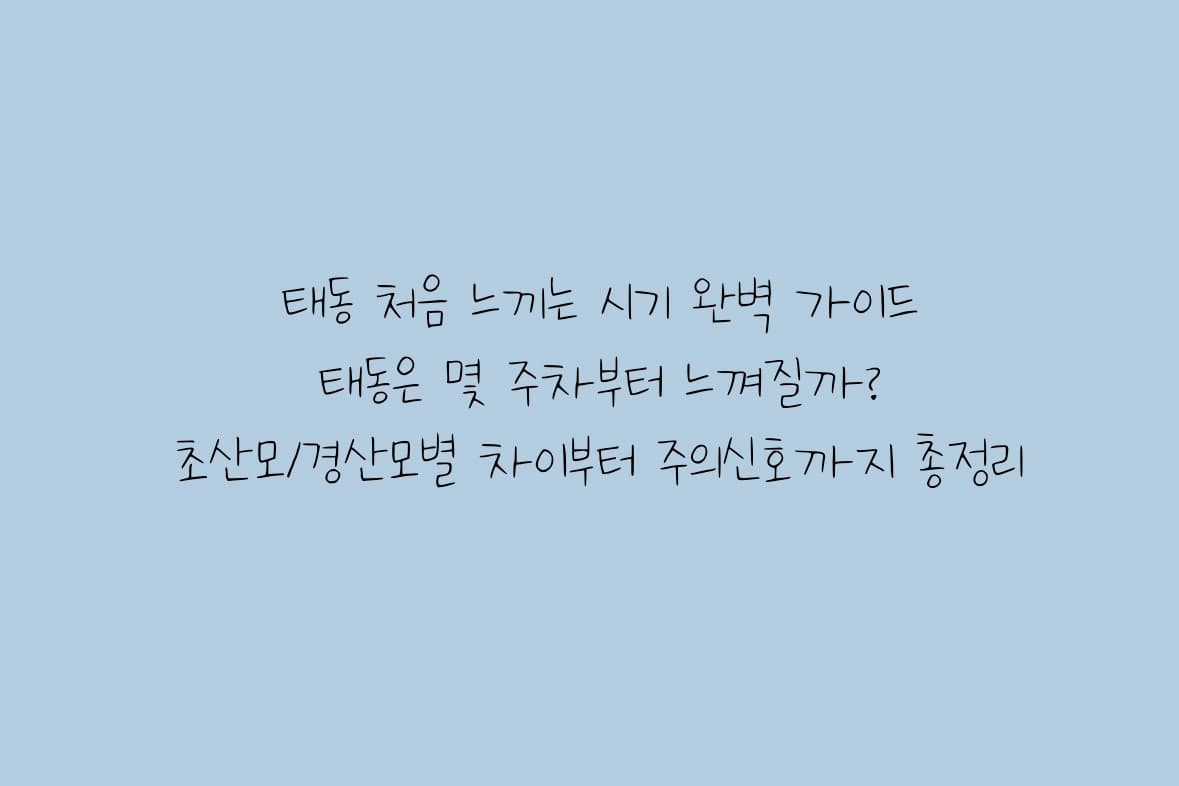 태동 처음 느끼는 시기 - 몇 주차 부터 느껴질까?