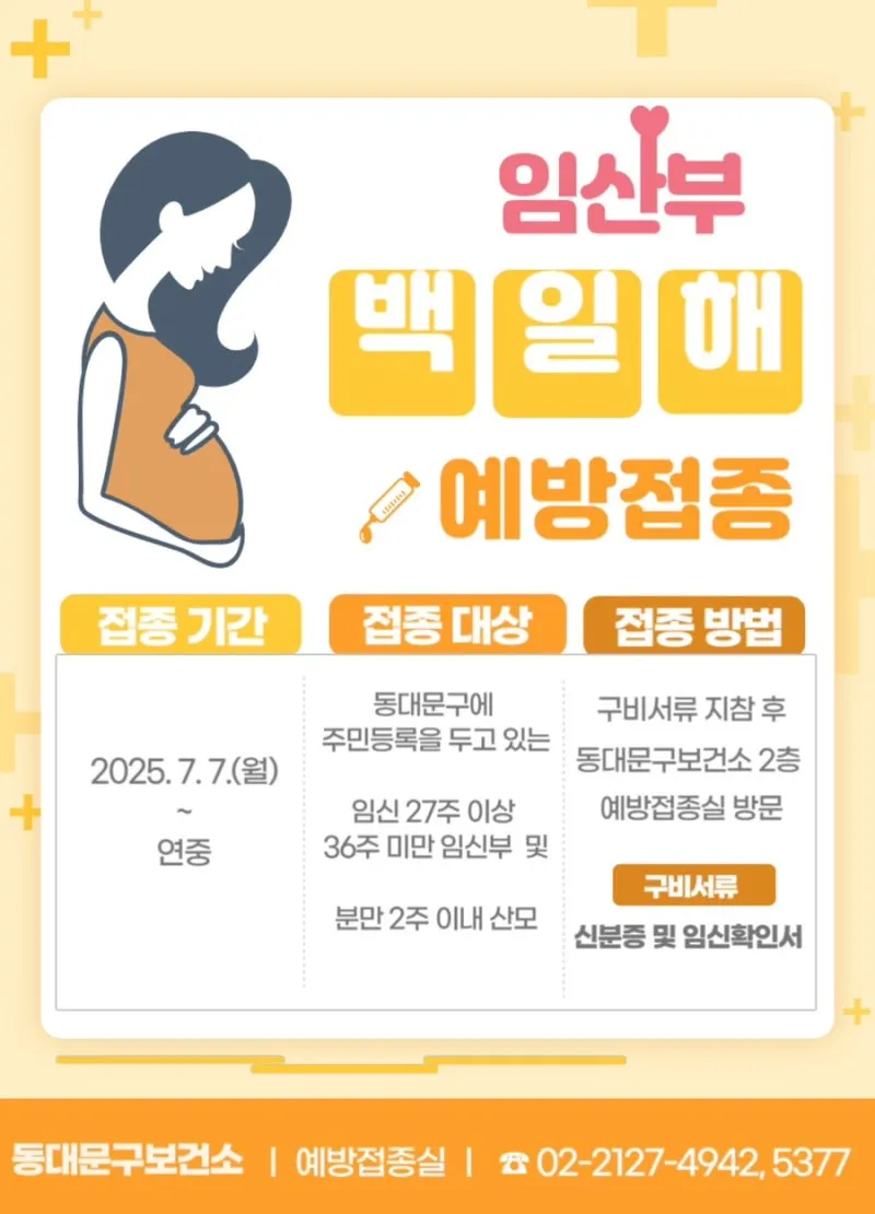 동대문구 임산부 백일해 무료접종